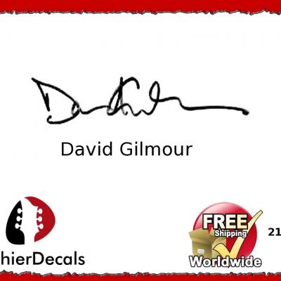 211b David Gilmour Guitar Decal Signature